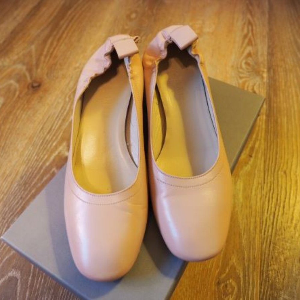 Everlane Day Heel Pale Rose